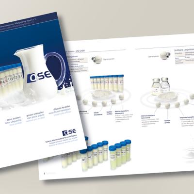 Funky Strawberry Portfolio Design Qse