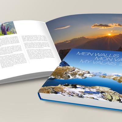 Funky Strawberry Portfolio Design Wallis